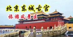 操女人B穴中国北京-东城古宫旅游风景区